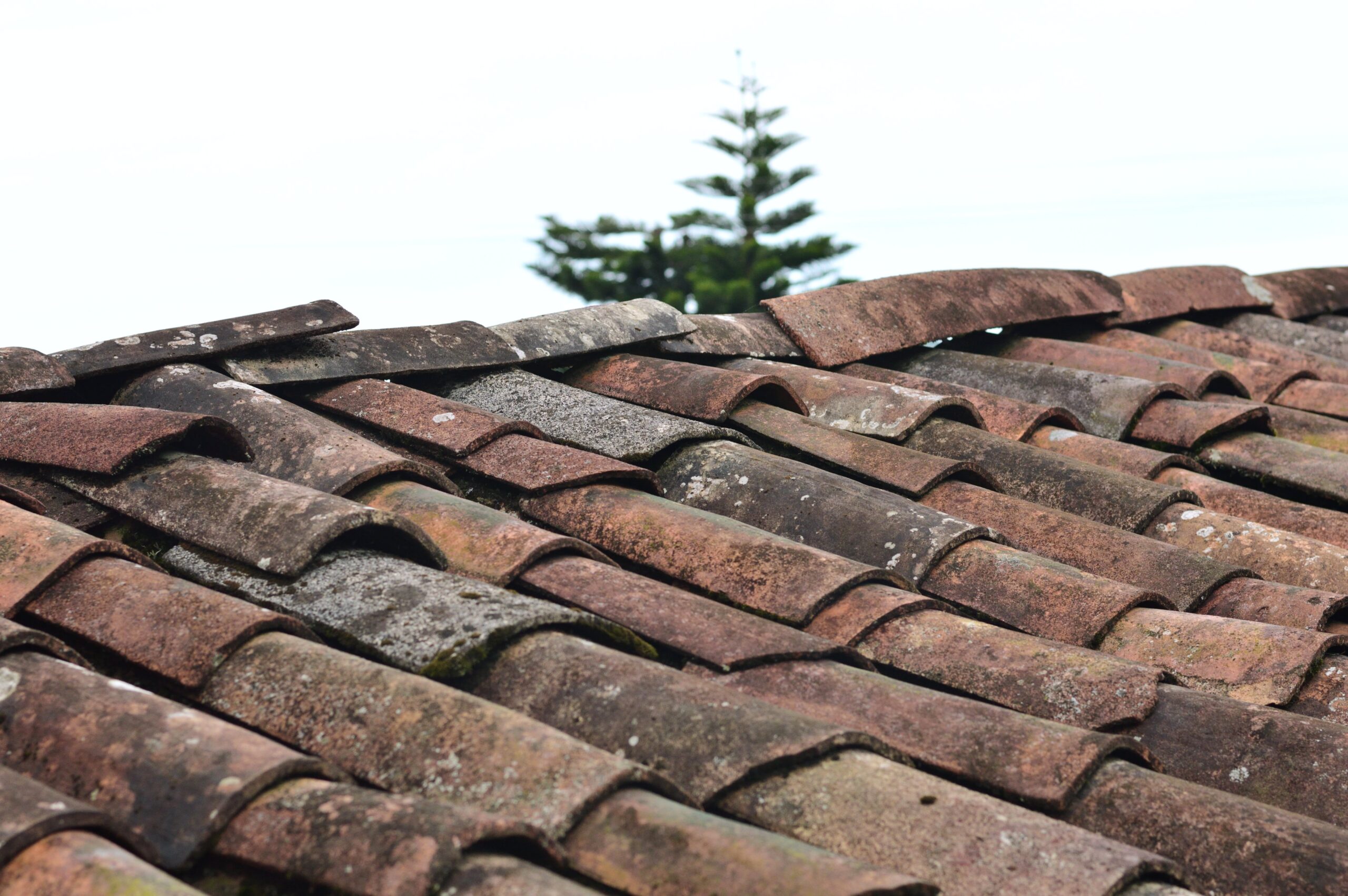 Roof Pressure Wash Cleaning